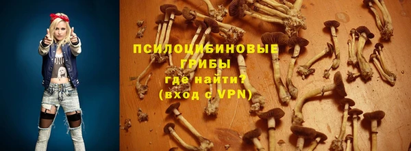 молекула духа Няндома